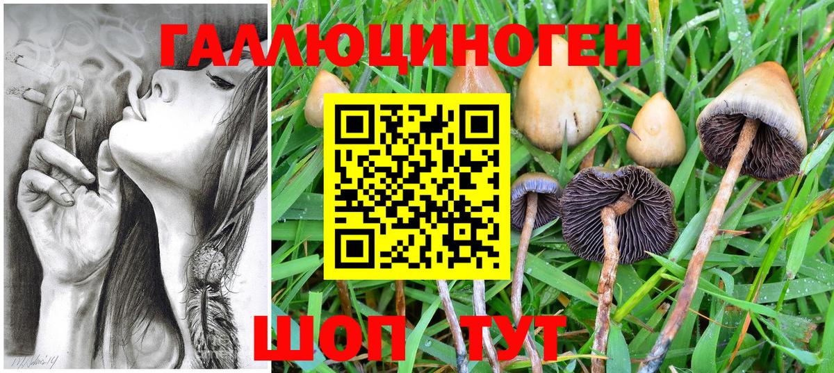 Галлюциногенные грибы мухоморы Сыктывкар